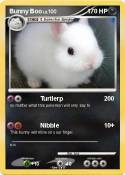 Bunny Boo