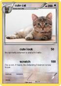 cute cat