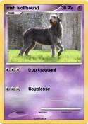 irish wolfhound