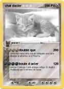 chat dacier