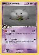 arctic the hams