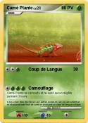 Camé Plante
