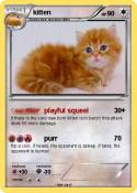 kitten