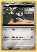 Captain Dog