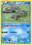 Anaconda