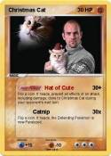 Christmas Cat