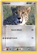 Cheetah