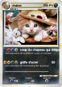 chaton