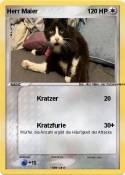 Herr Maier