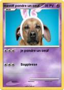 mastiff pondre