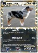 super chien
