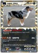 super chien