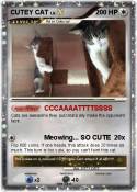 CUTEY CAT