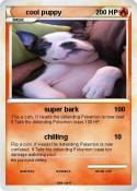 cool puppy