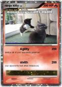 ninja kitty