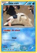 Dead shark