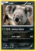 koala