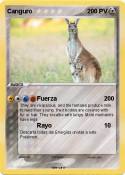 Canguro