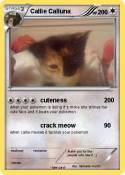 Callie Calluna