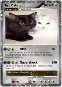 Two Cats
