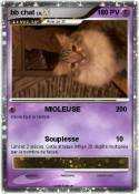 bb chat