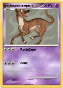 greyhound craqu