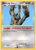 Dried Up Tree