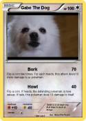 Gabe The Dog