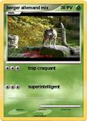 berger allemand