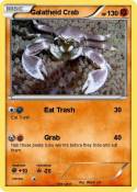 Galatheid Crab