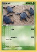 Turtleboi