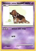 Saturmin ( aime