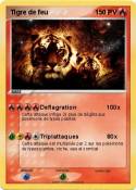 Tigre de feu 