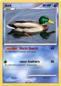 duck