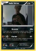 Natte Verner