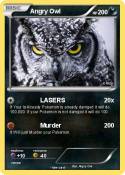 Angry Owl