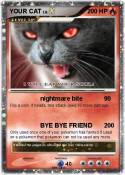 YOUR CAT