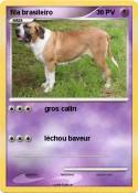 fila brasileiro