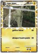 tigre blanc