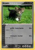 Arcanin