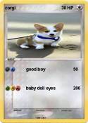 corgi