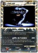 chat noir