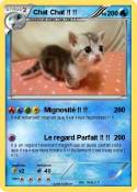 Chat Chat !! !!