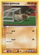 soccer guinea