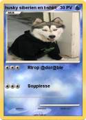 husky siberien