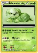 Salade de chien
