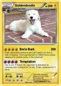 Goldendoodle