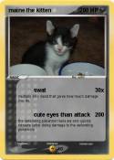 maine the kitte
