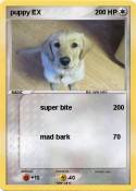 puppy EX