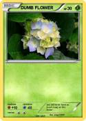 DUMB FLOWER